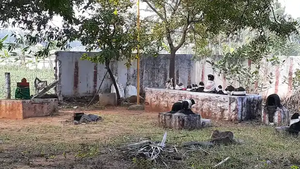 Arulmigu Nilamudaya Kandan Sastha Temple, Cholapuram, Chenbagaramanputhoor - 629304 அருள்மிகு நிலமுடையகண்டன்சாஸ்தா திருக்கோயில், Cholapuram, Chenbagaramanputhoor - 629304, Kanyakumari - Ancient Temple Architecture and History Image 3