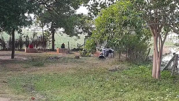 Arulmigu Nilamudaya Kandan Sastha Temple, Cholapuram, Chenbagaramanputhoor - 629304 அருள்மிகு நிலமுடையகண்டன்சாஸ்தா திருக்கோயில், Cholapuram, Chenbagaramanputhoor - 629304, Kanyakumari - Ancient Temple Architecture and History Image 4