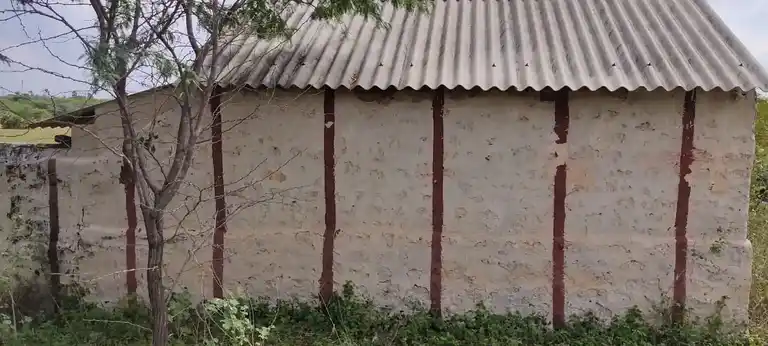 Arulmigu Niliamman Temple, Kannankoil - 644661 அருள்மிகு நீலியம்மன் திருக்கோயில், கண்ணங்கோயில் - 644661, Tiruppur - Ancient Temple Architecture and History Image 3