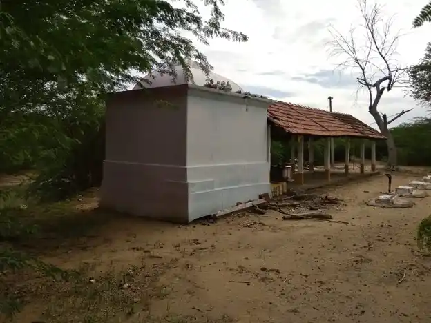 Arulmigu Niraikulathu Ayyanar Temple, Kallurani - 630559 Temple