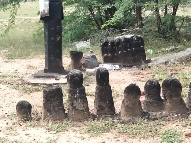 Arulmigu Niraikulathu Ayyanar Temple, Marikalamkathan - 626117 அருள்மிகு நிறைகுளத்து அய்யனார் திருக்கோயில், மரிக்கலம்காத்தான் - 626117, Virudhunagar - Ancient Temple Architecture and History Image 4