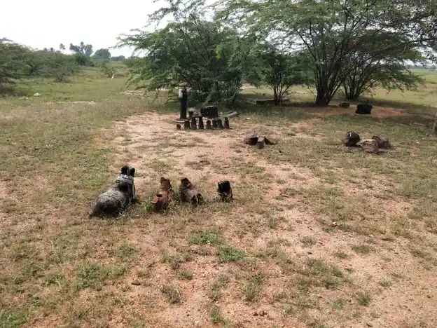 Arulmigu Niraikulathu Ayyanar Temple, Marikalamkathan - 626117 அருள்மிகு நிறைகுளத்து அய்யனார் திருக்கோயில், மரிக்கலம்காத்தான் - 626117, Virudhunagar - Ancient Temple Architecture and History Image 8