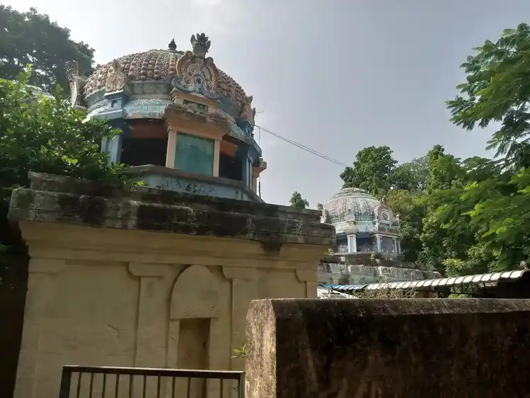 Arulmigu Nithya Manawalanatha Swami Temple, Nedungulam - 609403 அருள்மிகு நித்யமணவாளநாதசாமி திருக்கோயில், Nedungulam - 609403, Thiruvarur - Ancient Temple Architecture and History Image 6