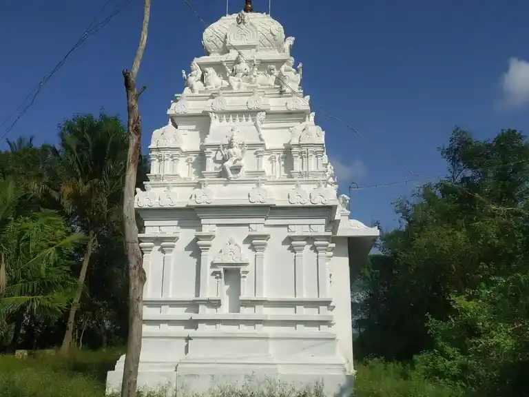 Arulmigu Nookanachiamman Temple, Vinnampalli - 632516 அருள்மிகு நூக்குநாச்சியம்மன் திருக்கோயில், விண்ணம்பள்ளி - 632516, Vellore - Ancient Temple Architecture and History Image 4