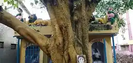 Arulmigu Om Sakthi Oosoorramman Temple, Saidapet, Chennai - 600015 அருள்மிகு ஓம்சக்தி ஓசூர் அம்மன் திருக்கோயில், சைதாப்பேட்டை, சென்னை - 600015, Chennai - Ancient Temple Architecture and History Image 2