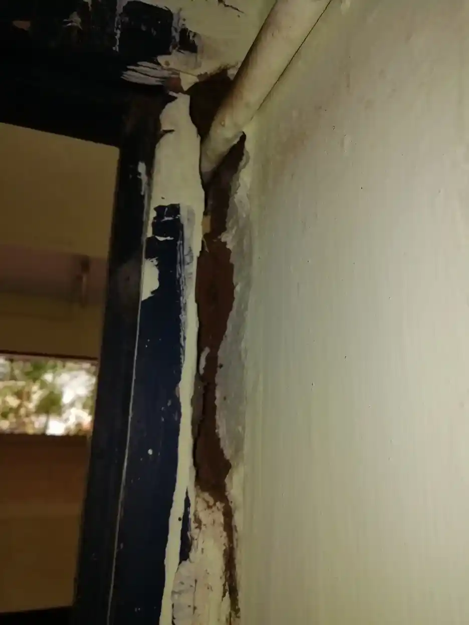 Arulmigu Om Sakthi Vinayarar Temple, Palayamkottai - 627002 அருள்மிகு ஓம்சக்தி விநாயகர் திருக்கோயில், Palayamkottai - 627002, Tirunelveli - Ancient Temple Architecture and History Image 4