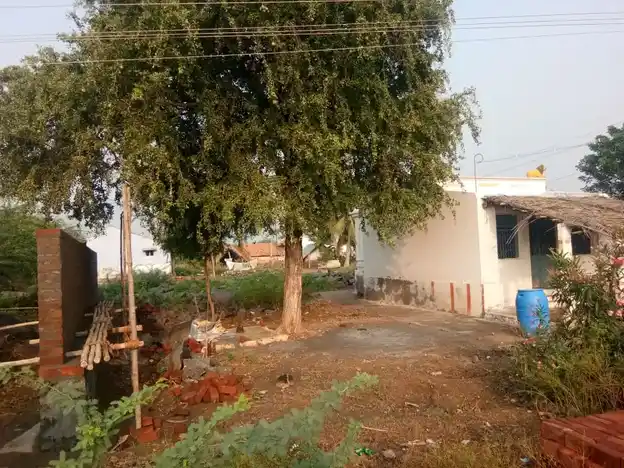 Arulmigu Omkaliamman Temple, Palamedu - 637503 அருள்மிகு ஓம் காளியம்மன் திருக்கோயில், Palamedu - 637503, Namakkal - Ancient Temple Architecture and History Image 4