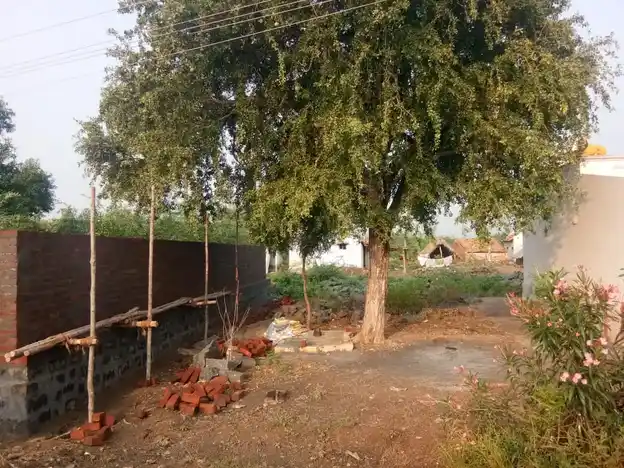 Arulmigu Omkaliamman Temple, Palamedu - 637503 அருள்மிகு ஓம் காளியம்மன் திருக்கோயில், Palamedu - 637503, Namakkal - Ancient Temple Architecture and History Image 5