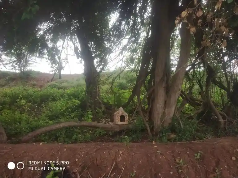 Arulmigu Ondi Karupannasamy Temple, Kotanatham - 624620 அருள்மிகு ஒன்டி கருப்பண்ணசாமி திருக்கோயில், கோட்டாநத்தம் - 624620, Dindigul - Ancient Temple Architecture and History Image 3