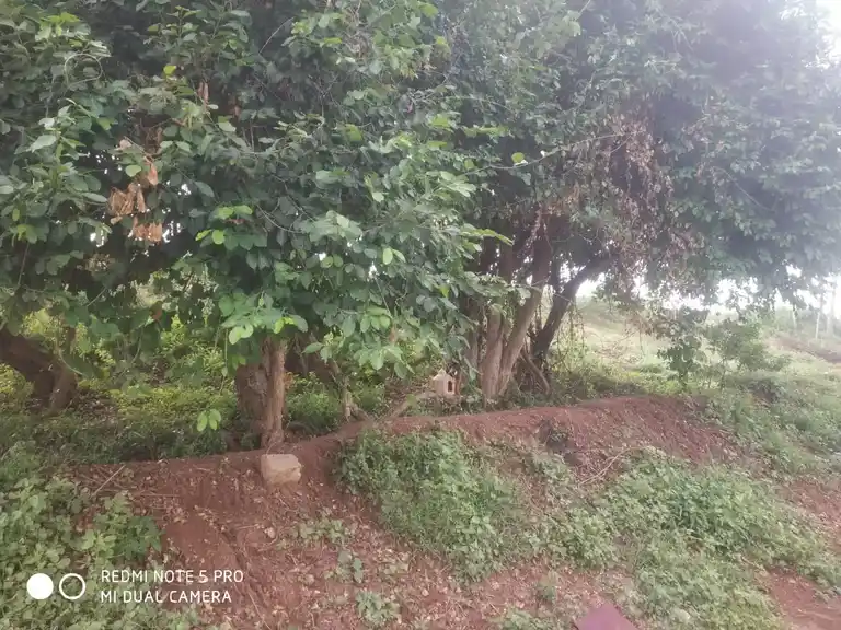 Arulmigu Ondi Karupannasamy Temple, Kotanatham - 624620 அருள்மிகு ஒன்டி கருப்பண்ணசாமி திருக்கோயில், கோட்டாநத்தம் - 624620, Dindigul - Ancient Temple Architecture and History Image 4