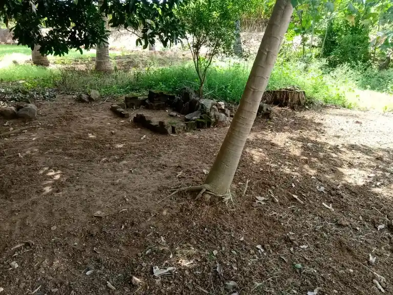 Arulmigu Ondiveeerasamy Temple, Karkoodalpatty Bit.1 - 636202