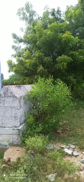 Arulmigu Ooranikarai Ayyanar Temple, Valayapatti - 621306 Arulmigu Ooranikarai ayyanar Temple, Valayapatti - 621306, Thiruchirappalli - Ancient Temple Architecture and History Image 4