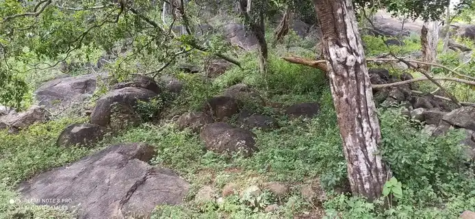 Arulmigu Oorkavalar Karupaswamy Temple, Kumarapatti - 621306 Temple