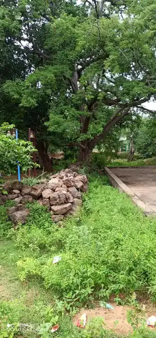 Arulmigu Oorkavalar Karupaswamy Temple, Kumarapatti - 621306 Arulmigu Oorkavalar Karupaswamy Temple, Kumarapatti - 621306, Thiruchirappalli - Ancient Temple Architecture and History Image 4