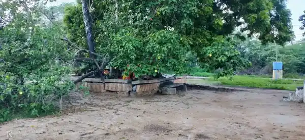 Arulmigu Oorkkaaval Saamy Temple, Kannanur - 622409 அருள்மிகு ஊர்காவல் சாமி திருக்கோயில், Kannanur - 622409, Pudukkottai - Ancient Temple Architecture and History Image 3