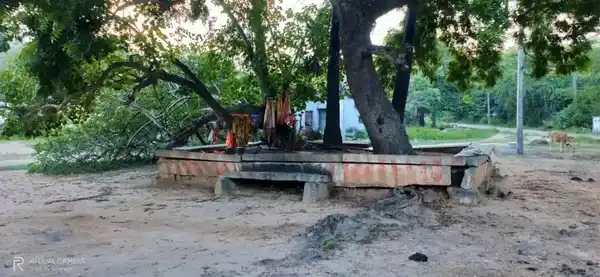 Arulmigu Oorkkaaval Saamy Temple, Kannanur - 622409 அருள்மிகு ஊர்காவல் சாமி திருக்கோயில், Kannanur - 622409, Pudukkottai - Ancient Temple Architecture and History Image 5