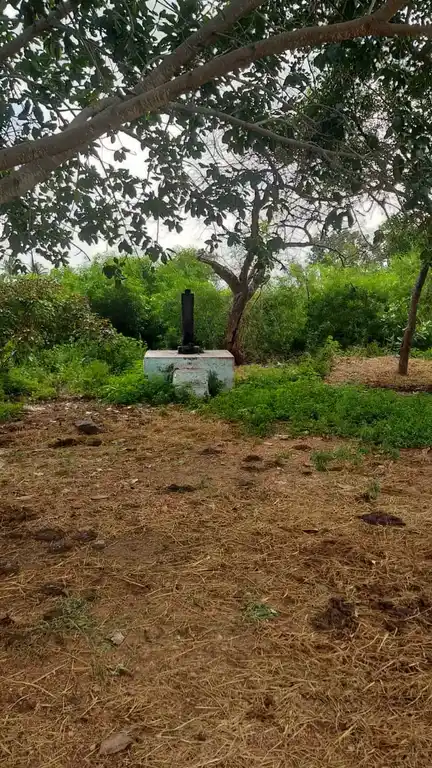 Arulmigu Oorkkavalsamy Temple, Kodikulam - 625514
