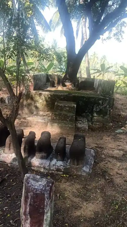 Arulmigu Oranai Kandan Sastha Temple, Thuvarankadu, Boothapandi - 629852 Arulmigu Oranai Kandan Sastha Temple, Thuvarankadu, Boothapandi - 629852, Kanyakumari - Ancient Temple Architecture and History Image 2