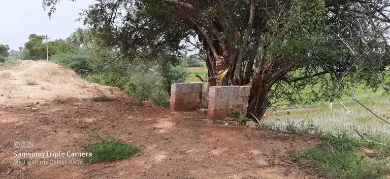 Arulmigu Ottanai Kannimaar Temple, Palapatty - 624201