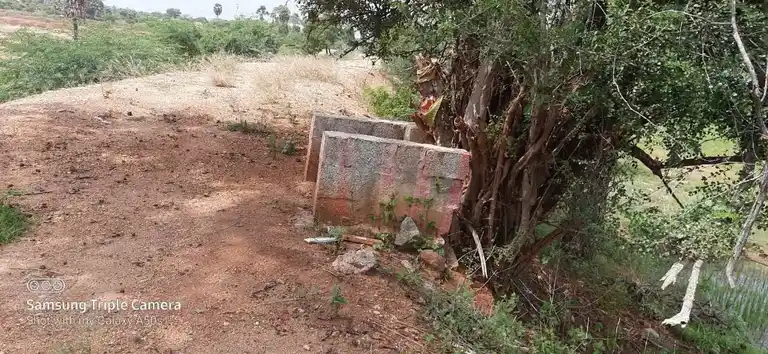 Arulmigu Ottanai Kannimaar Temple, Palapatty - 624201 அருள்மிகு ஒட்டனைக் கன்னிமார் திருக்கோயில், Palapatty - 624201, Dindigul - Ancient Temple Architecture and History Image 2