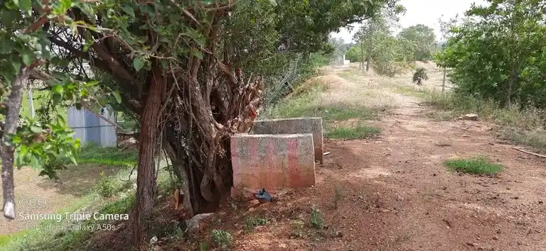Arulmigu Ottanai Kannimaar Temple, Palapatty - 624201 அருள்மிகு ஒட்டனைக் கன்னிமார் திருக்கோயில், Palapatty - 624201, Dindigul - Ancient Temple Architecture and History Image 3