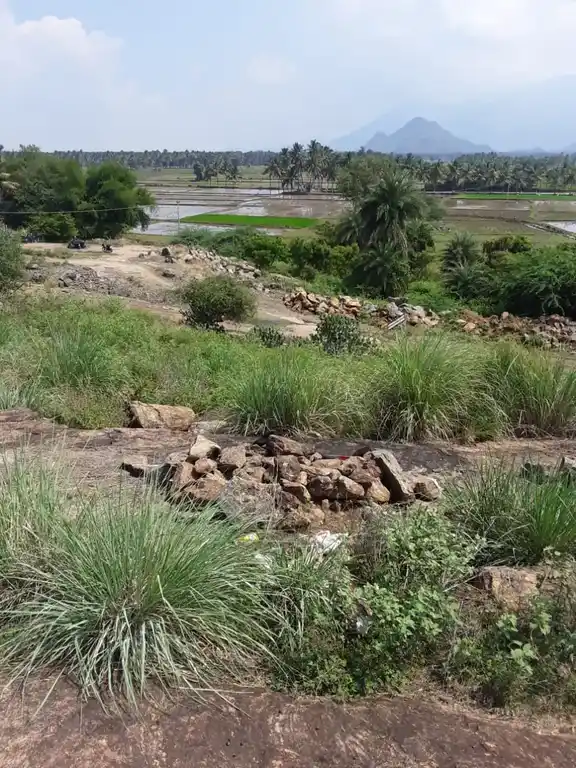 Arulmigu Paachumalai Amman Temple, Balasamudaram - 624610 அருள்மிகு பாக்குமாலையம்மன் திருக்கோயில், Balasamudaram - 624610, Dindigul - Ancient Temple Architecture and History Image 2