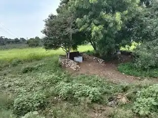 Arulmigu Paakayi Amman Temple, Mandiripalayam, Vavipalayam - 641671