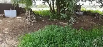 Arulmigu Paakayi Amman Temple, Mandiripalayam, Vavipalayam - 641671 அருள்மிகு பாகாயி அம்மன் திருக்கோயில், Vavipalayam, Vavipalayam - 641671, Tiruppur - Ancient Temple Architecture and History Image 3