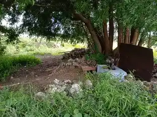 Arulmigu Paakayi Amman Temple, Mandiripalayam, Vavipalayam - 641671 அருள்மிகு பாகாயி அம்மன் திருக்கோயில், Vavipalayam, Vavipalayam - 641671, Tiruppur - Ancient Temple Architecture and History Image 4