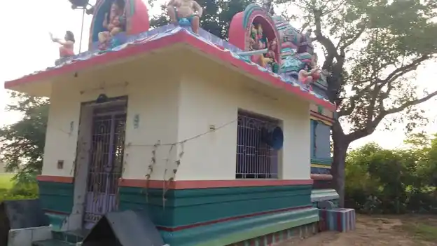 Arulmigu Paalaiyadi Vinayagar Temple, Kadamparayanpatti - 622103 அருள்மிகு பாலையடிவிநாயகர் திருக்கோயில், Kadamparayanpatti - 622103, Pudukkottai - Ancient Temple Architecture and History Image 3