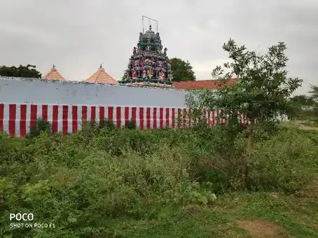 Arulmigu Paaludaiyar Ayyanar Temple, Thalaivankottai - 627755