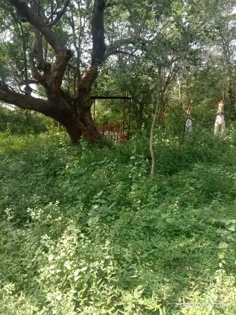 Arulmigu Paambaalamman Temple, Paraipatti - 624707 அருள்மிகு பாம்பாலம்மன் திருக்கோயில், Paraipatti - 624707, Dindigul - Ancient Temple Architecture and History Image 2