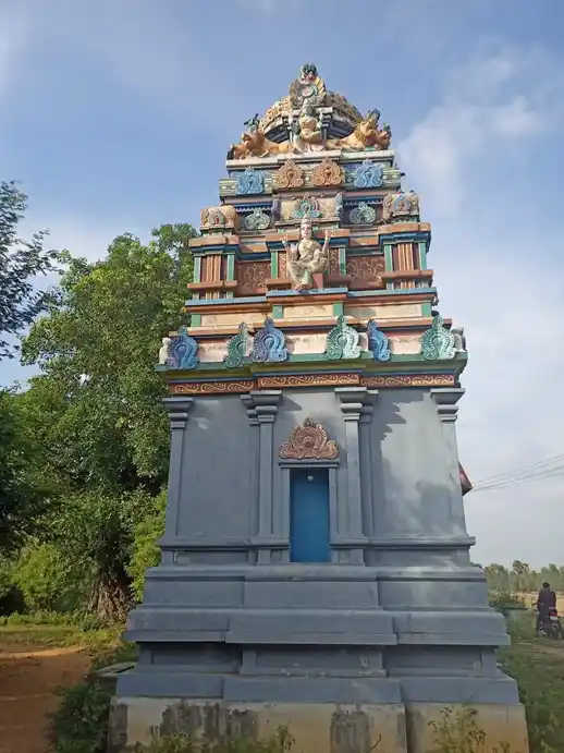 Arulmigu Paampalamman Temple, Ilaiyaperumanallur, Ariyalur - 612903 Arulmigu Paampalamman Temple, Ilaiyaperumanallur, Ariyalur - 612903, Ariyalur - Ancient Temple Architecture and History Image 3