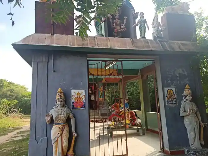 Arulmigu Paampalamman Temple, Ilaiyaperumanallur, Ariyalur - 612903 Arulmigu Paampalamman Temple, Ilaiyaperumanallur, Ariyalur - 612903, Ariyalur - Ancient Temple Architecture and History Image 4