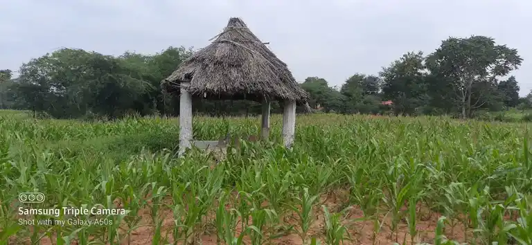 Arulmigu Paapanayakan Malai Temple, Pudupatti - 624705