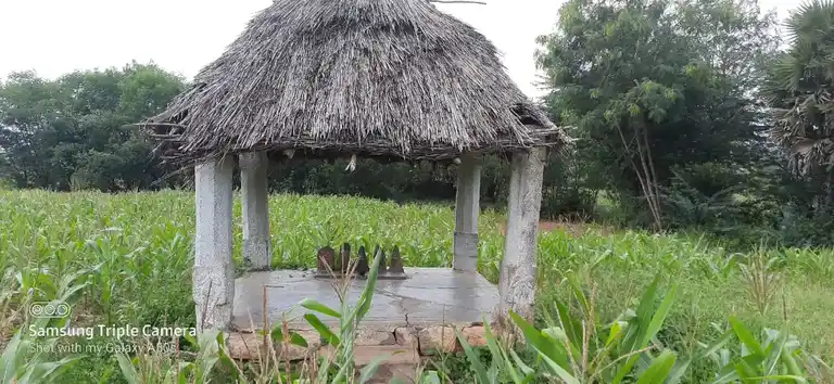 Arulmigu Paapanayakan Malai Temple, Pudupatti - 624705 அருள்மிகு பாட்டிநாயக்கன் மாலைக்கோயில்-புதுபட்டி, திண்டுக்கல். கோயில், Pudupatti - 624705, Dindigul - Ancient Temple Architecture and History Image 2