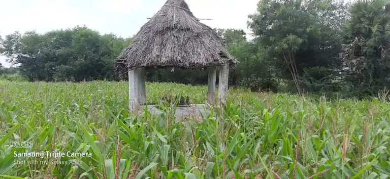 Arulmigu Paapanayakan Malai Temple, Pudupatti - 624705 அருள்மிகு பாட்டிநாயக்கன் மாலைக்கோயில்-புதுபட்டி, திண்டுக்கல். கோயில், Pudupatti - 624705, Dindigul - Ancient Temple Architecture and History Image 3