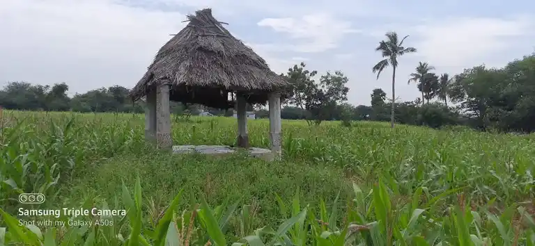 Arulmigu Paapanayakan Malai Temple, Pudupatti - 624705 அருள்மிகு பாட்டிநாயக்கன் மாலைக்கோயில்-புதுபட்டி, திண்டுக்கல். கோயில், Pudupatti - 624705, Dindigul - Ancient Temple Architecture and History Image 4