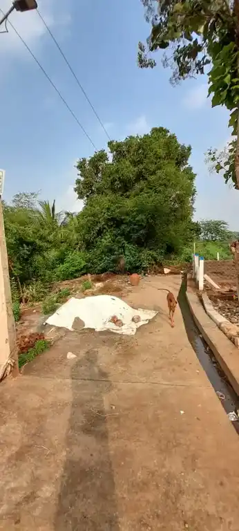 Arulmigu Paayikkoil, Ilathoor - 627809 Arulmigu Paayikkoil, Ilathoor - 627809, Tenkasi - Ancient Temple Architecture and History Image 4