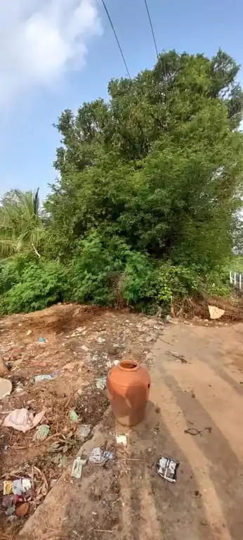 Arulmigu Paayikkoil, Ilathoor - 627809 Arulmigu Paayikkoil, Ilathoor - 627809, Tenkasi - Ancient Temple Architecture and History Image 5