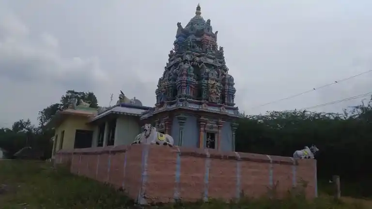 Arulmigu Pacchai Naacchiyamman Temple, Lakshmanappatti - 622202 அருள்மிகு பச்சைநாச்சியம்மன் திருக்கோயில், Lakshmanappatti - 622202, Pudukkottai - Ancient Temple Architecture and History Image 5