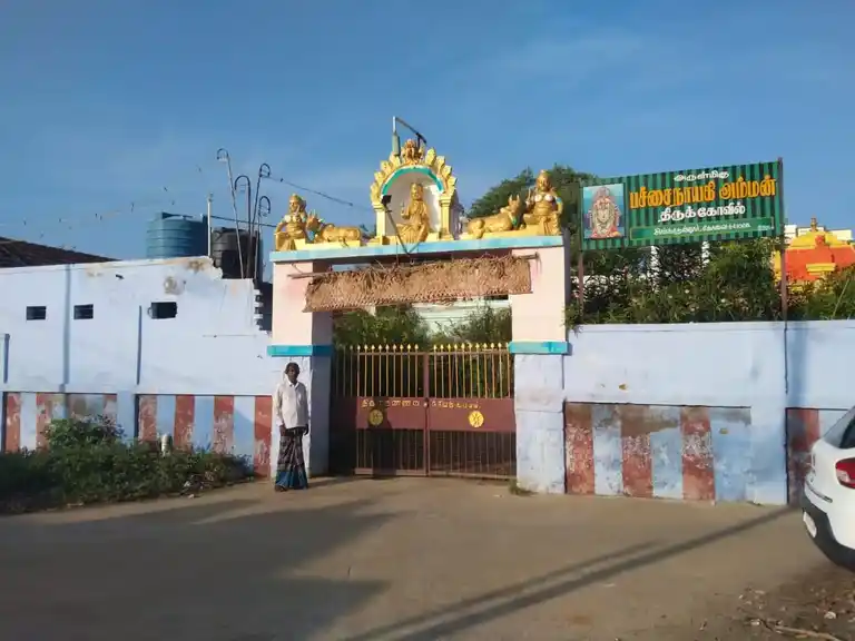 Arulmigu Pacchainayagiamman Temple, Singanallur - 641005