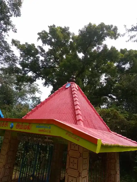 Arulmigu Pacchanachiamman Temple, Mangalappatti - 624401 அருள்மிகு பச்சநாச்சியம்மன் திருக்கோயில், Mangalappatti - 624401, Dindigul - Ancient Temple Architecture and History Image 3