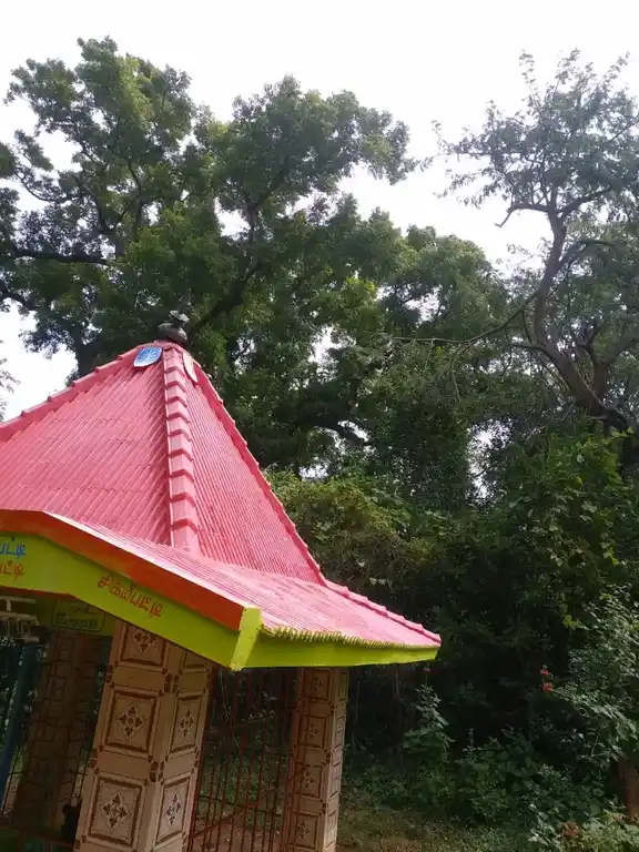 Arulmigu Pacchanachiamman Temple, Mangalappatti - 624401 அருள்மிகு பச்சநாச்சியம்மன் திருக்கோயில், Mangalappatti - 624401, Dindigul - Ancient Temple Architecture and History Image 4