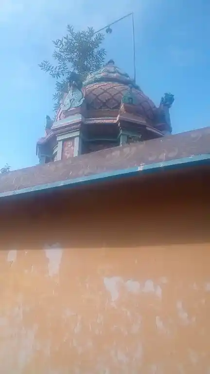 Arulmigu Pachai Muniyanar Temple, Vangaram - 621709 Arulmigu Pachai Muniyanar Temple,  - 621709, Ariyalur - Ancient Temple Architecture and History Image 4