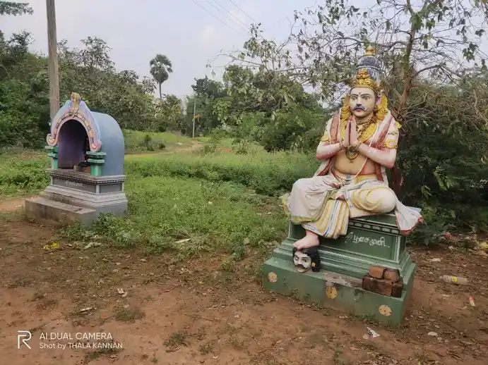 Arulmigu Pachaiamman, Manickanachiyar Temple, Veeranadhapuram - 608301 அருள்மிகு பச்சையம்மன் மாணிக்கநாச்சியார் கோயில், Veeranadhapuram - 608301, Cuddalore - Ancient Temple Architecture and History Image 4