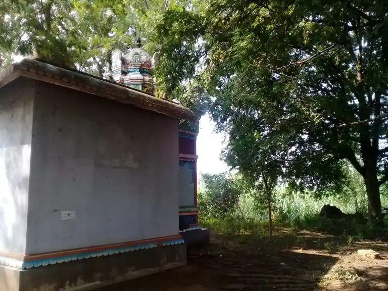 Arulmigu Pachaiamman Temple, Kuruvadi - 621714 அருள்மிகு பச்சையம்மன் திருக்கோயில், Kuruvadi - 621714, Ariyalur - Ancient Temple Architecture and History Image 4