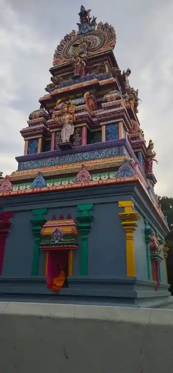 Arulmigu Pachaiamman Temple, Sathiyam - 606302 Arulmigu Pachaiamman Temple, Sathiyam - 606302, Cuddalore - Ancient Temple Architecture and History Image 3