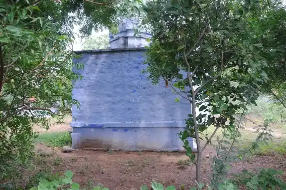 Arulmigu Pachaikannadiar Madam Temple, -, Seelanaickenpatti - 642405 அருள்மிகு பச்சைகண்ணடியார் மடம், -, Seelanaickenpatti - 642405, Tiruppur - Ancient Temple Architecture and History Image 4