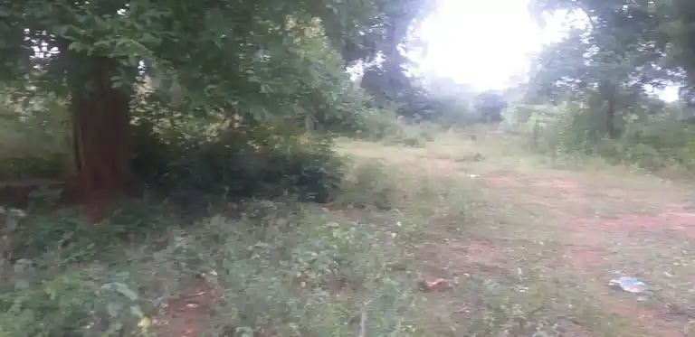 Arulmigu Pachaimalai Perumal Temple, Sitharevu - 624204 அருள்மிகு பச்சைமலைப்பெருமாள் திருக்கோயில், Sitharevu - 624204, Dindigul - Ancient Temple Architecture and History Image 4